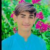 aliaftab424