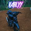 vega_varly