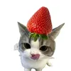 momoriiew