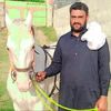 muhammadzulqarnainraja1