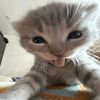 baby_saja539