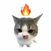 exzpi