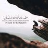 ibrahim.alroni
