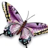 butterflies1213
