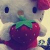 springnicht_1