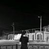mustafaeva_yul
