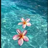 oliwia.sarach