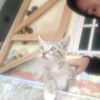 kamunanya_q