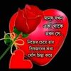 user4880392900936
