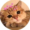 lalaamavick2