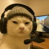 sugerdaddy1.1