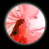 rukhsar_097