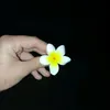 spam_mar123