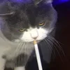 faxa.panda