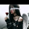 user4613451254195