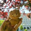 arni🐻🍀