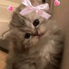 ale_sa226