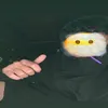 joao_pzt