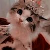 jade_vela6437