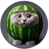 certified_commenter4819