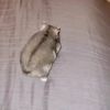 vane_78982