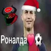 pidar.sibidi