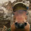 neskaul8