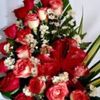 maria.murillo614