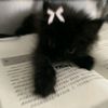 jimina7451