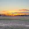 rossoyer_9237