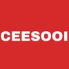 CEESOOI Auto Care Store