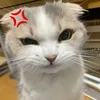profi_fai