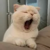 hn.gia.hn.nguyn