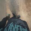 cam769986
