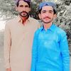 dil.dar489