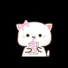 user4975503210050