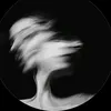 vns_008