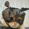 chethobelliw_bowtak