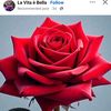 user4280244201055