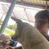 nutthichada.kaews