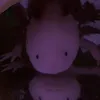 axolotl4301