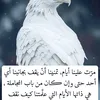 user42815914226995