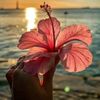 abchi_5