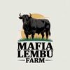 Mafia Lembu
