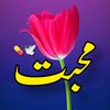 m__tariq005
