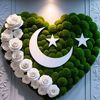 ch.nazeer37
