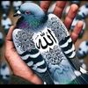 nouri.louar
