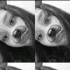 quinns4_