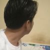 noy.noy0020