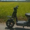 thutrangcao16